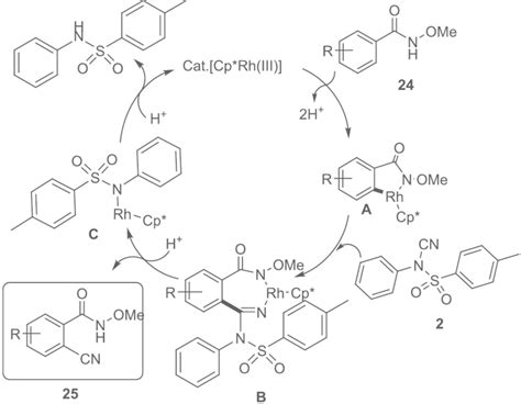 The Proposed Mechanism Of Rh III Catalyzed Direct CH Cyanation For