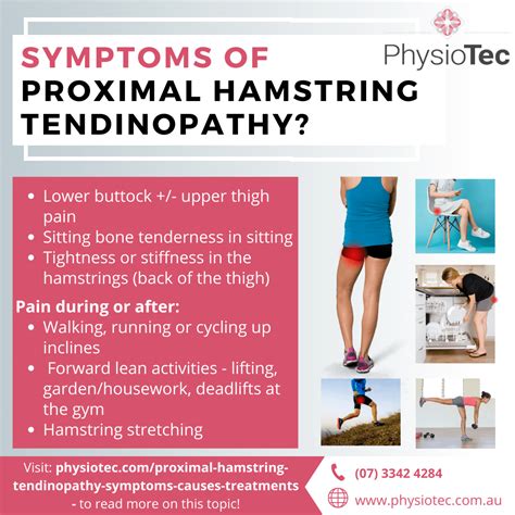 Proximal Hamstring Tendinopathy Symptoms Causes Treatments