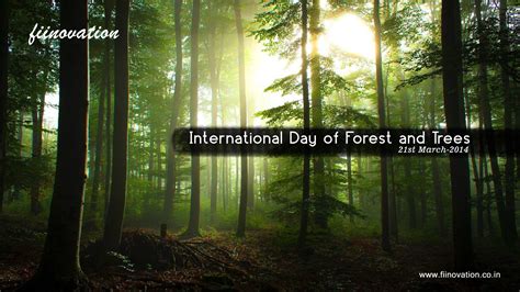 International Day Of Forests Wallpapers - Wallpaper Cave