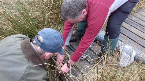 Upcoming Events North Pennines National Landscape