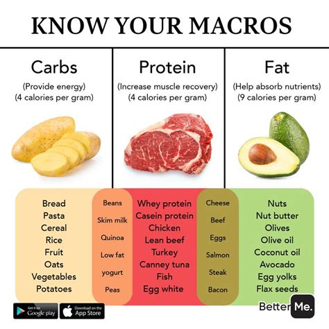 3 Macronutrients What You Need To Know About Macros And How To Count