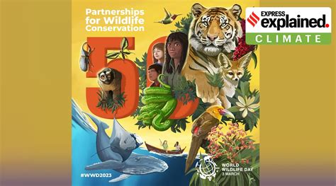 World Wildlife Day 2023 Theme Importance And Cites Agreement