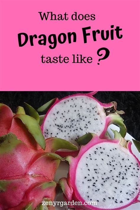 Exploring The Taste Of Different Dragon Fruit Varieties