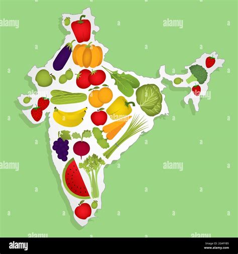 Cabbage India Stock Vector Images Alamy