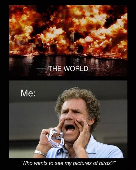 World-burning-meme - Toy Photographers