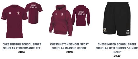 Chessington School Year 7 Sports Scholarship