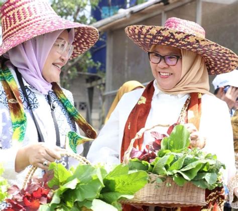 Dorong Ketahanan Pangan Keluarga Bidang V OASE KIM Panen Sayur Organik