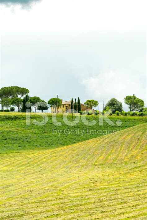 Montalcino Tuscany Italy Stock Photo Royalty Free Freeimages