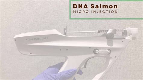 Treatment Dna Salmon Micro Injection Aifalogy