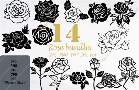 Rose Svg Bundle Rose Clipart Bundle Graphic By Shaden Store Creative