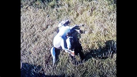 Red Dead Redemption 2 Arthur Revive S The Count And Pushes Dutch Of A