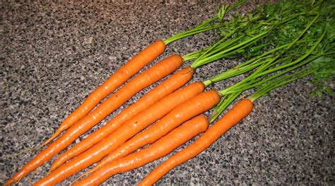 Carrots A Complete Planting Guide The How Do Gardener