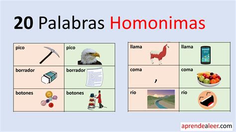 20 Ejemplos De Palabras Homónimas