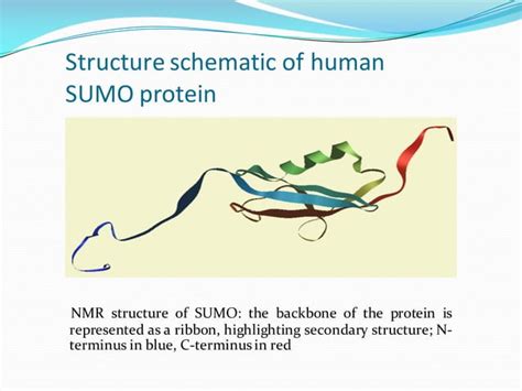 Molecular Dynamics And Simulations Ppt