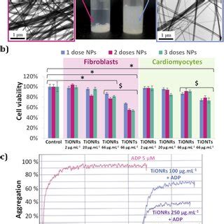 Pdf Titanate Nanoribbon Based Nanobiohybrid For Potential