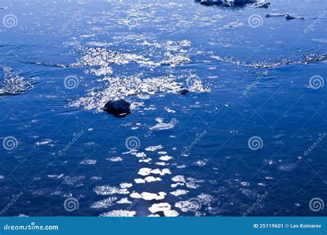 Coast of the Sea of Okhotsk Stock Image - Image of climate, ocean: 25119601