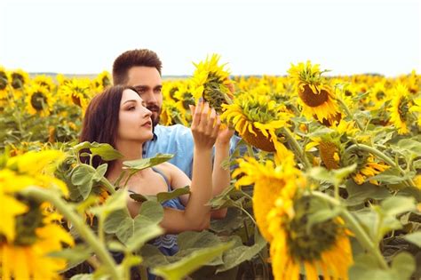 Casal Ador Vel Caminha Pelo Campo De Girassol Florescendo Buqu Amarelo