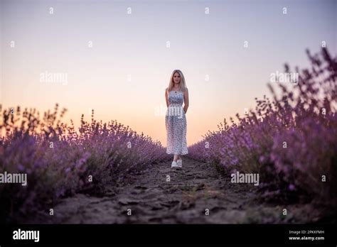 Une jeune femme blonde marche entre les rangées de champs violets au coucher du soleil Voyage à