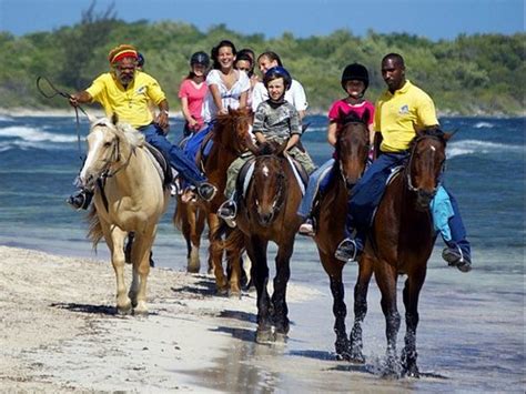 Montego Bay Horseback Riding and Ocean Swim Excursion - Montego Bay ...