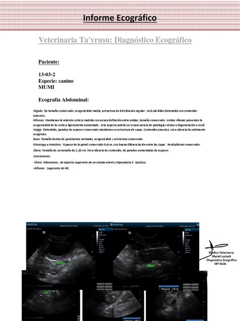 Inf Ecograf Mumi Pdf