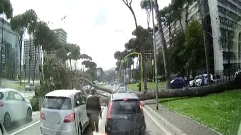 VIDEO Le Impressionanti Immagini Dell Albero Che Cade Su Due Auto All Eur