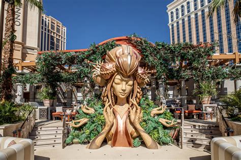 Official Website Of Tao Beach At The Venetian Resort