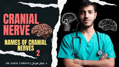 Oral Surgery Lecture Part Cranial Nerve Names Of Cranial