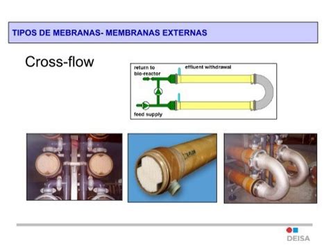 Tipos De Mebranas Membra