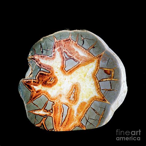 Septarian Concretion Nodule Scalenohedral Calcite Photograph By Stephan