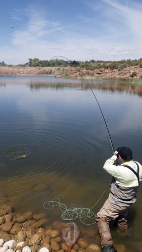 Phil Rowley Fly Fishing Naked In Utah