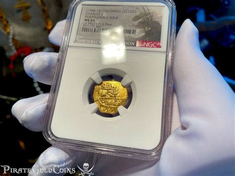 Pirates Gold Pieces Of Eight Shipwreck Ngc Gold Coins Treasures