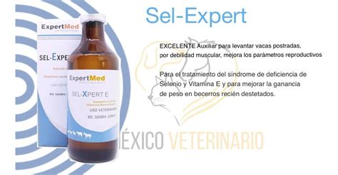 Vitaminas Ade Selenio Ovinos Complejo B Veterinario 100ml Cu Meses