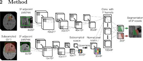 Pdf Multi Scale 3d Convolutional Neural Networks For Lesion Hot Sex