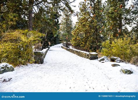 White Icy Snowy Walkway Through A Foot Bridge At A Park In Freezing