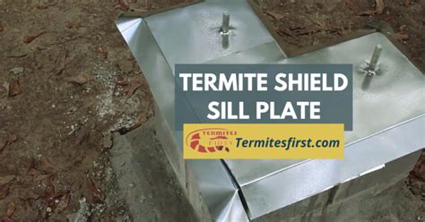 Termite Shield Sill Plate Your Ultimate Moisture Control Guide