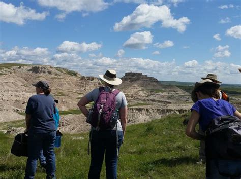 Explore North Dakota Paleontology Official North Dakota Travel