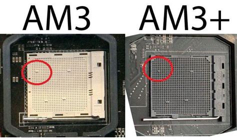 Что такое сокет? Основные сокеты процессоров AMD и Intel :: SYL.ru