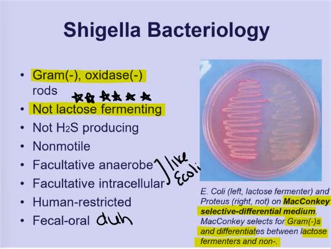 Enteric Bacteria And Listeria Flashcards Quizlet