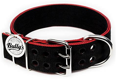 5 Best American Bully Collars