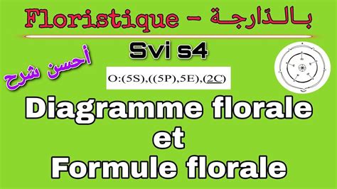 Diagramme Florale Et Formule Florale Floristique Svi S