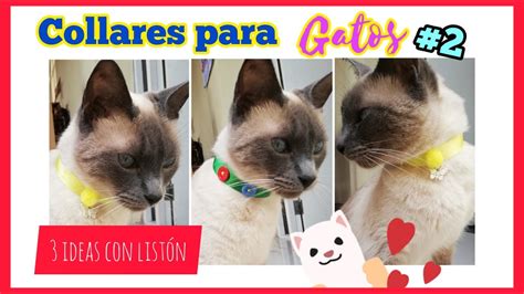 Collares Para Gatos Caseros F Ciles Ideas C Mo Hacer Collares