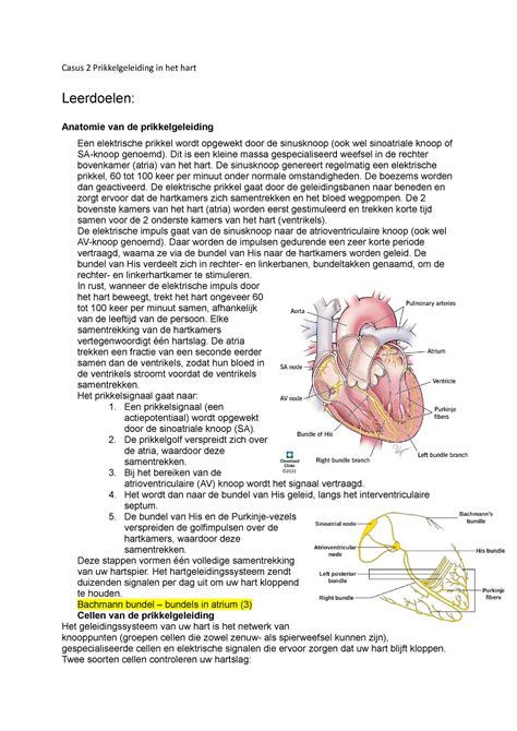 Casus Gen Casus Prikkelgeleiding In Het Hart Leerdoelen