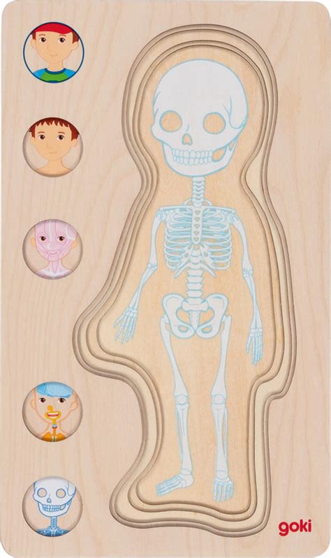 Body Layer Puzzle Boy E O Montessori Us