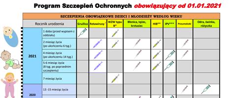 Program Szczepie Ochronnych Na Rok Powiatowa Stacja Sanitarno