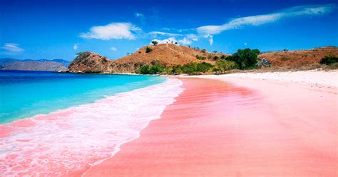 Que Hay Entre La Playa Y El Mar Rosado Nuestra Playa