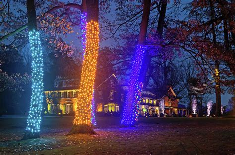 Lighted Tree Trunks By House Photograph By Sally Weigand Pixels