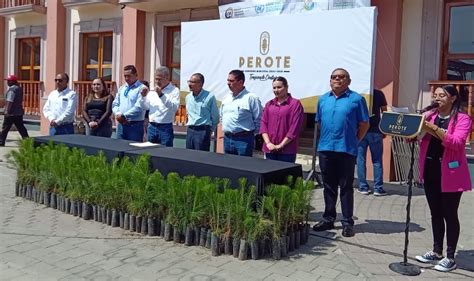 Dona Granjas Carroll Mil Plantas Para Reforestaci N En Perote