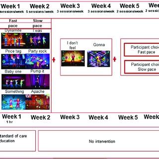 Schematics Representation Of The Training Protocol Implemented For