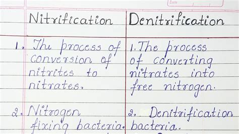 Difference between Nitrification and Denitrification - YouTube