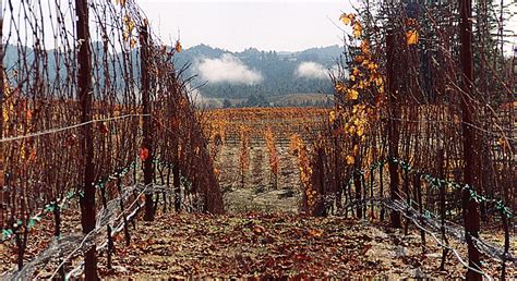 Soil | Peay Vineyards